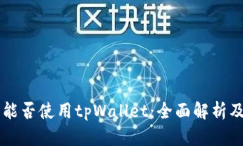 印度用户能否使用tpWallet：全面解析及使用指南