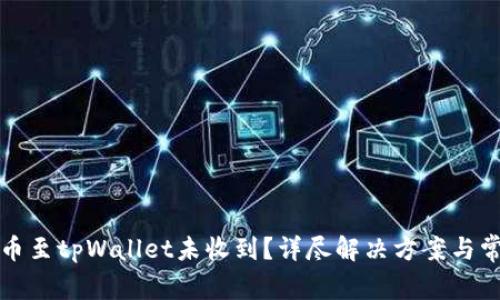 从交易所提币至tpWallet未收到？详尽解决方案与常见问题解答