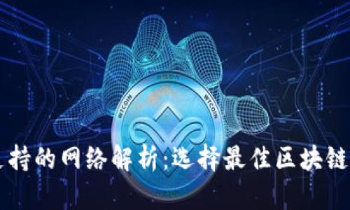 tpWallet支持的网络解析：选择最佳区块链网络的方法