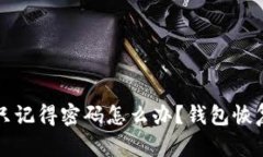 : tpWallet只记得密码怎么办？钱包恢复与安全指南