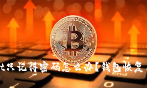 : tpWallet只记得密码怎么办？钱包恢复与安全指南