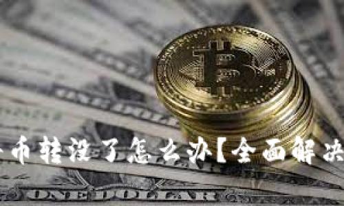 tpWallet将币转没了怎么办？全面解决方案与tips