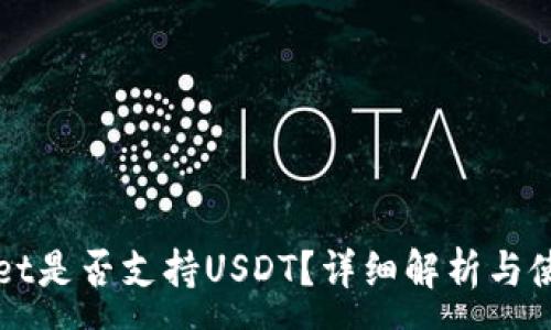 :
tpWallet是否支持USDT？详细解析与使用指南
