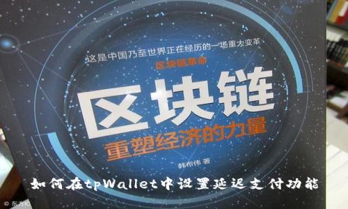 如何在tpWallet中设置延迟支付功能
