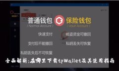 全面解析：在哪里下载tpWallet及其使用指南